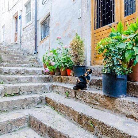 Apartment Ivona Dubrovnik Luaran gambar