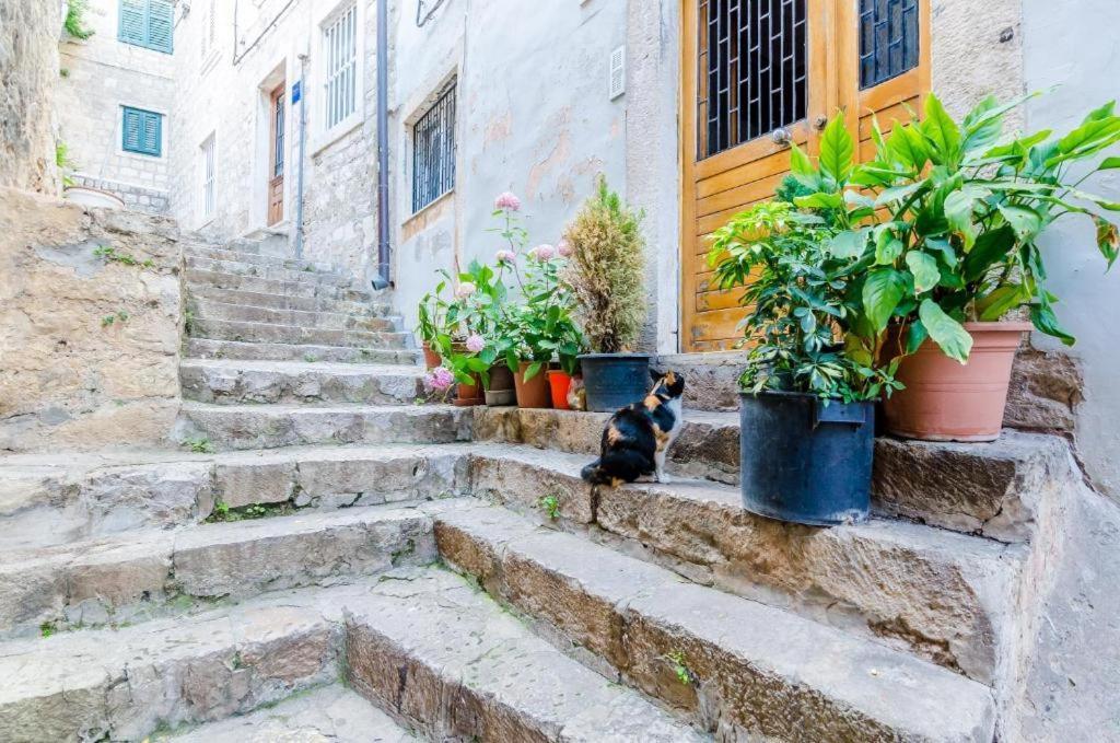 Apartment Ivona Dubrovnik Luaran gambar